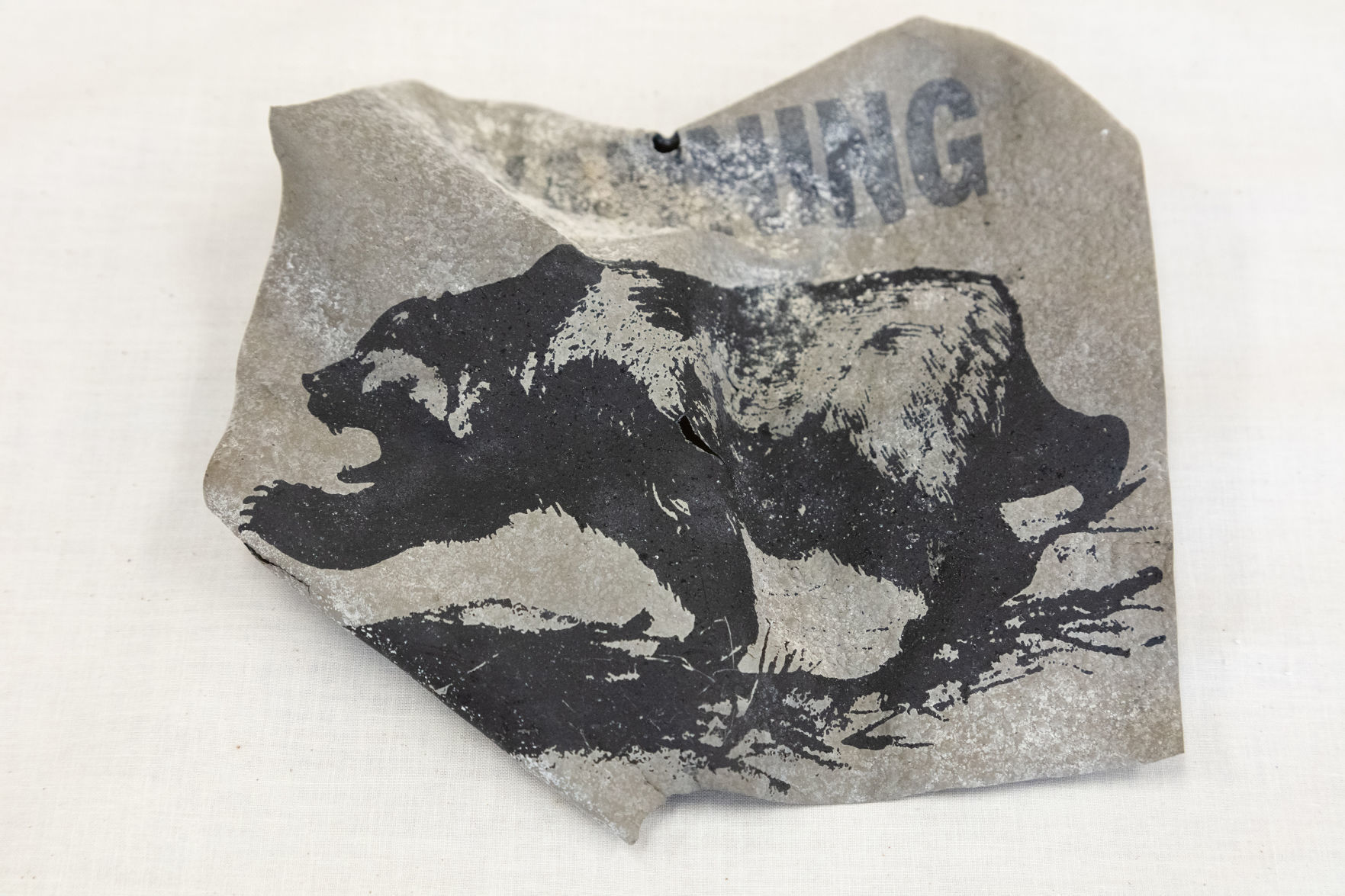 Grizzly bear warning sign